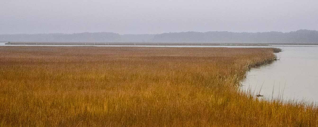 View of marshes from bridge to Assateague