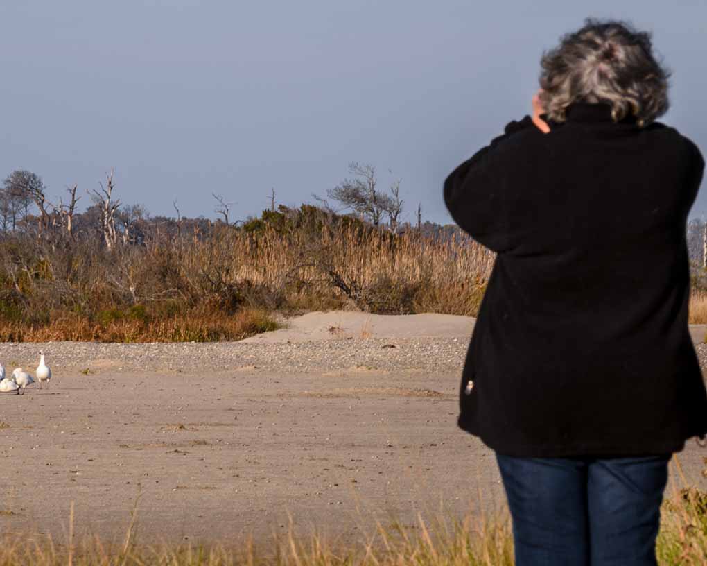 Woman photographing Snow Geese at Swan Cove