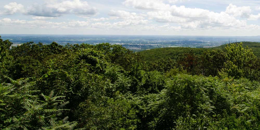 Trail marker where Black and Yellow Trails Cross Each Other