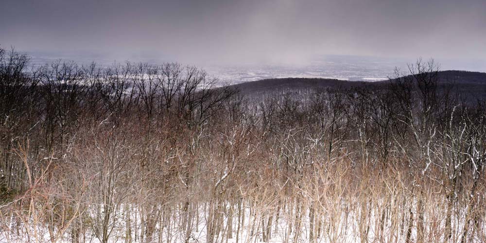 Trail marker where Black and Yellow Trails Cross Each Other