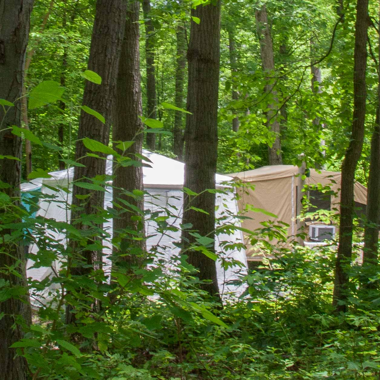 This camping area is at the north end of the Manor Area