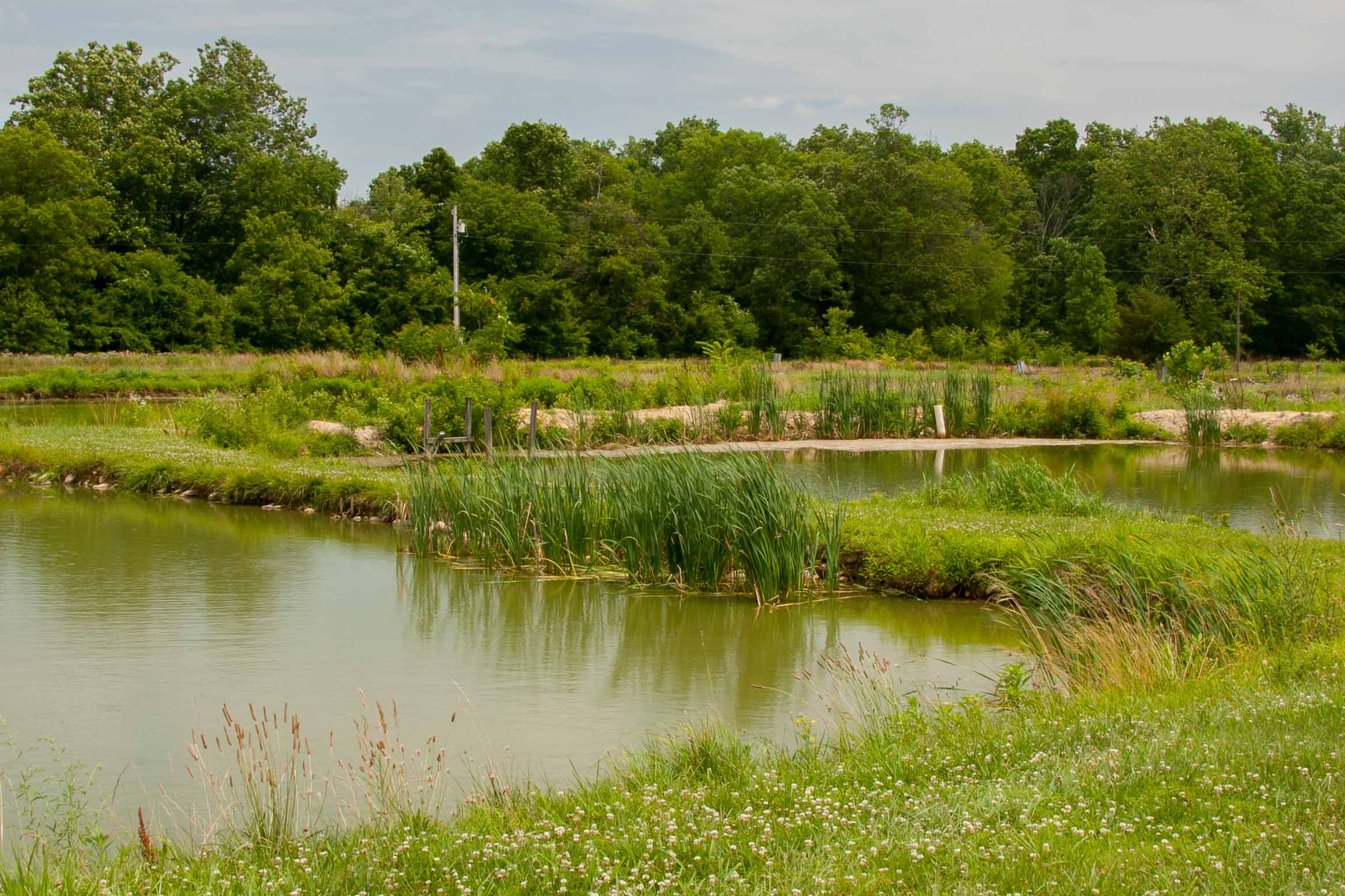 Hunting Creek Fisheries Ponds