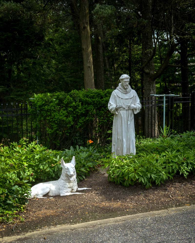 Statues of Saint Francis and the wolf of Gubbio standing among greenery