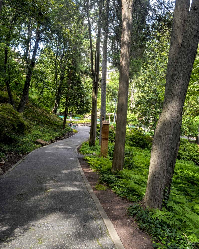 Garden path with devotional pedestal next to it and lined with cedar trees