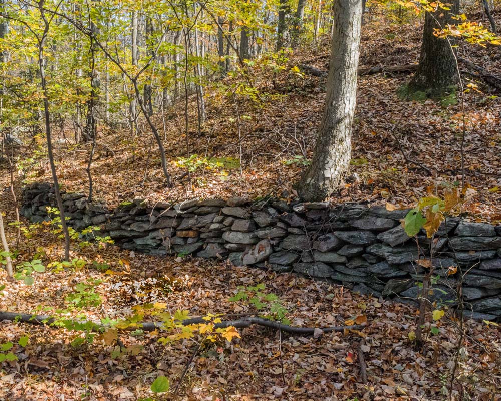 Rock retaining wall in the woods