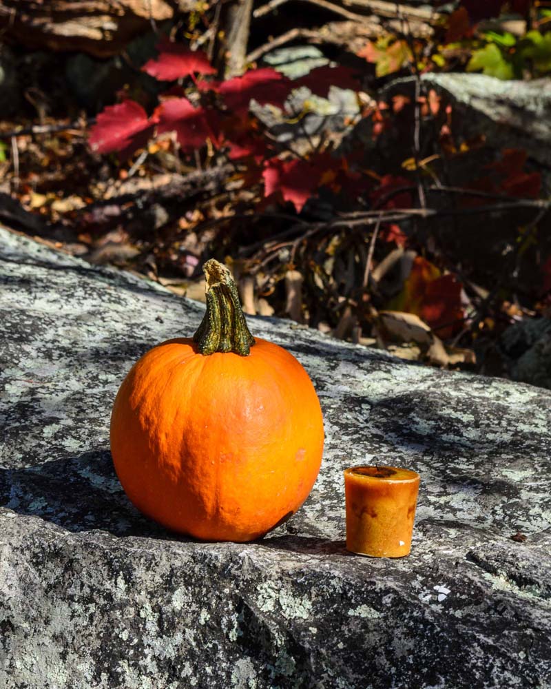 Pumpkin and orange candle on a rock