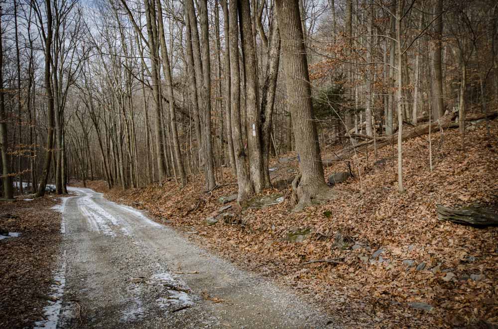Appalachian Trail following Warner Hollow Road and then leaving the road to go up through the woods