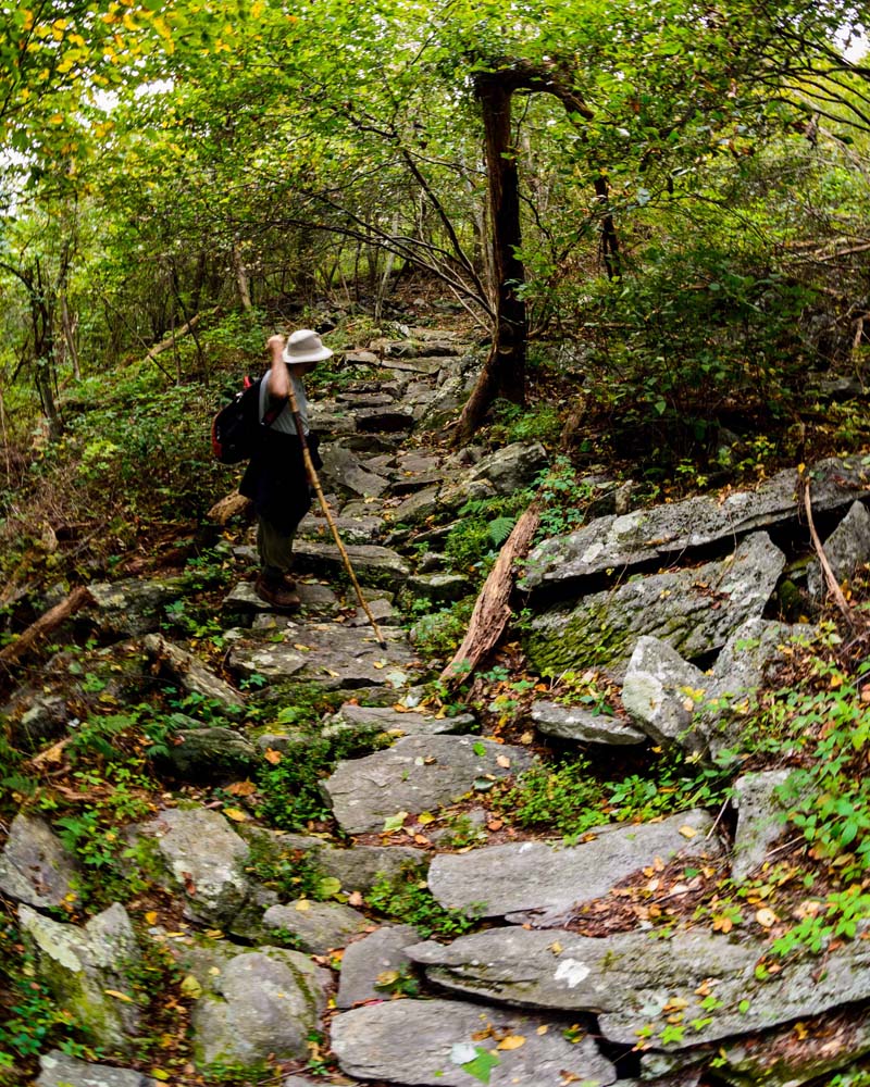 Hiker climbing rocky trail on hill