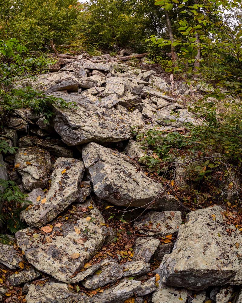 Looking up rock slide west of trail