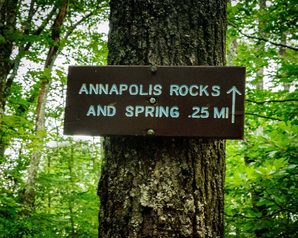 Tree with sign indicating location of Annaapolis Rocks and spring