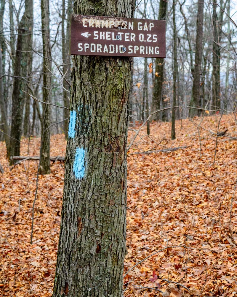 Side trail with sign on tree indicating that it leads to the Crampton Gap Shelter
