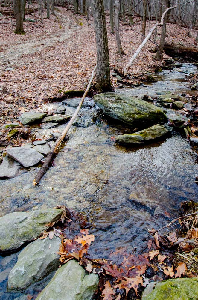 Catoctin Trail crosses a creek that feeds Pond #4