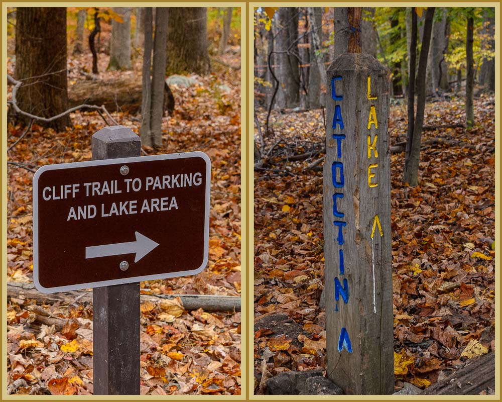 The Catoctin Trail comes to a sign for a side trail to the lake area