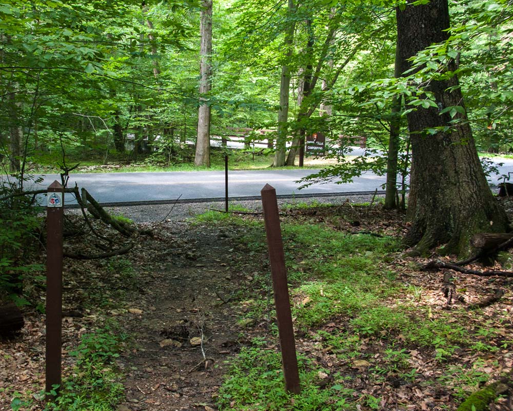 Catoctin Trail comes close to Foxville-Deerfield Road