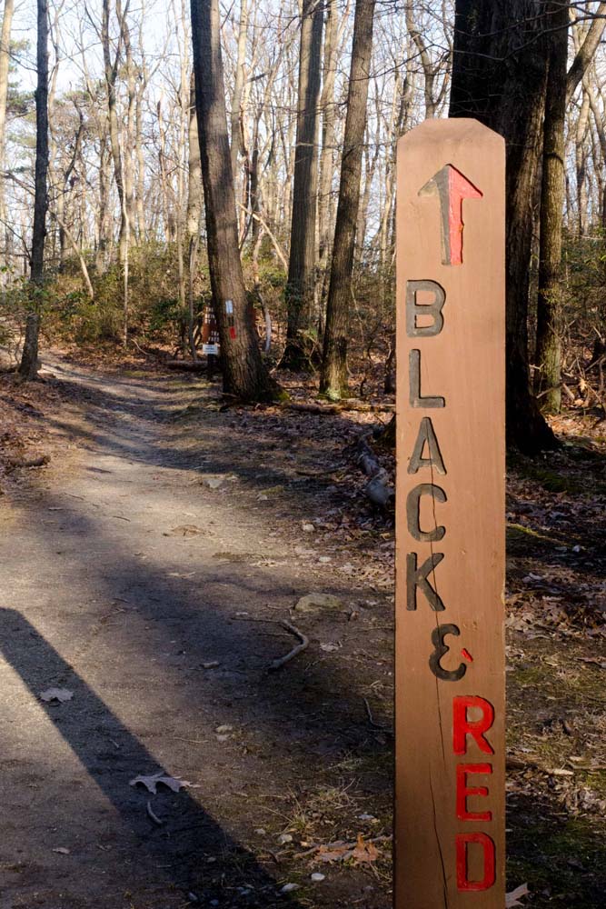 Trailhead of the White Oak Trail