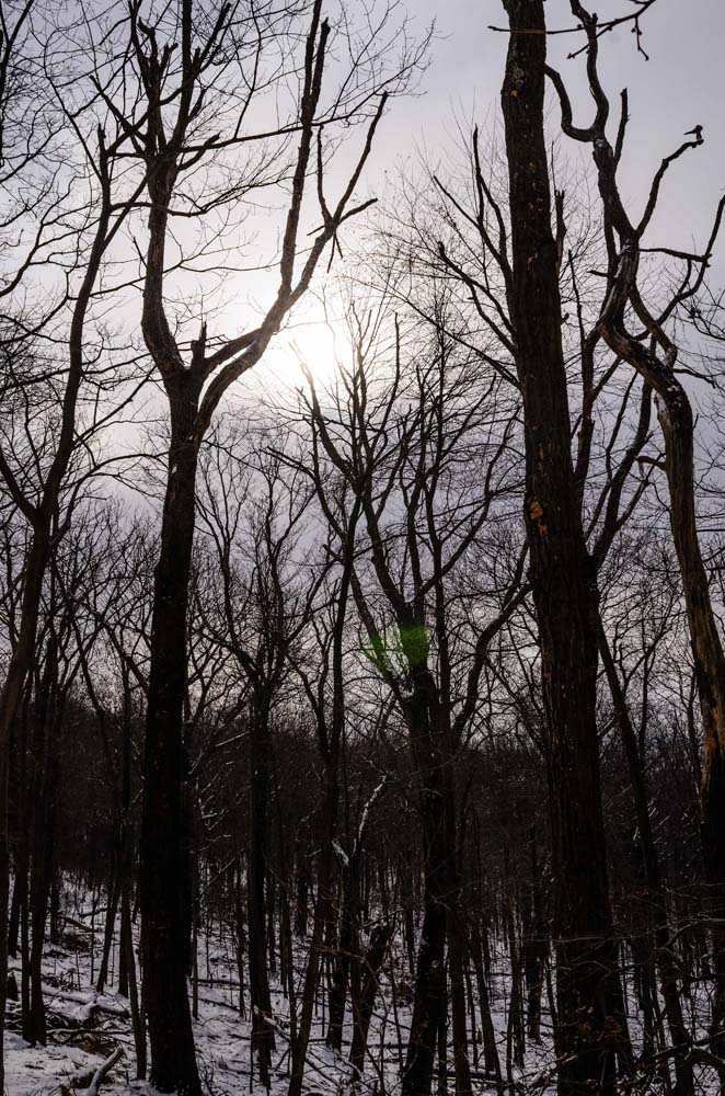 Gambrill trail in winter