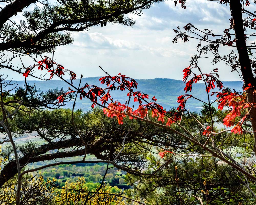 Spring time view of South Mountain