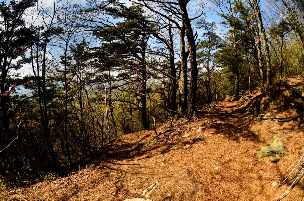 Black and Yellow Trail looking north