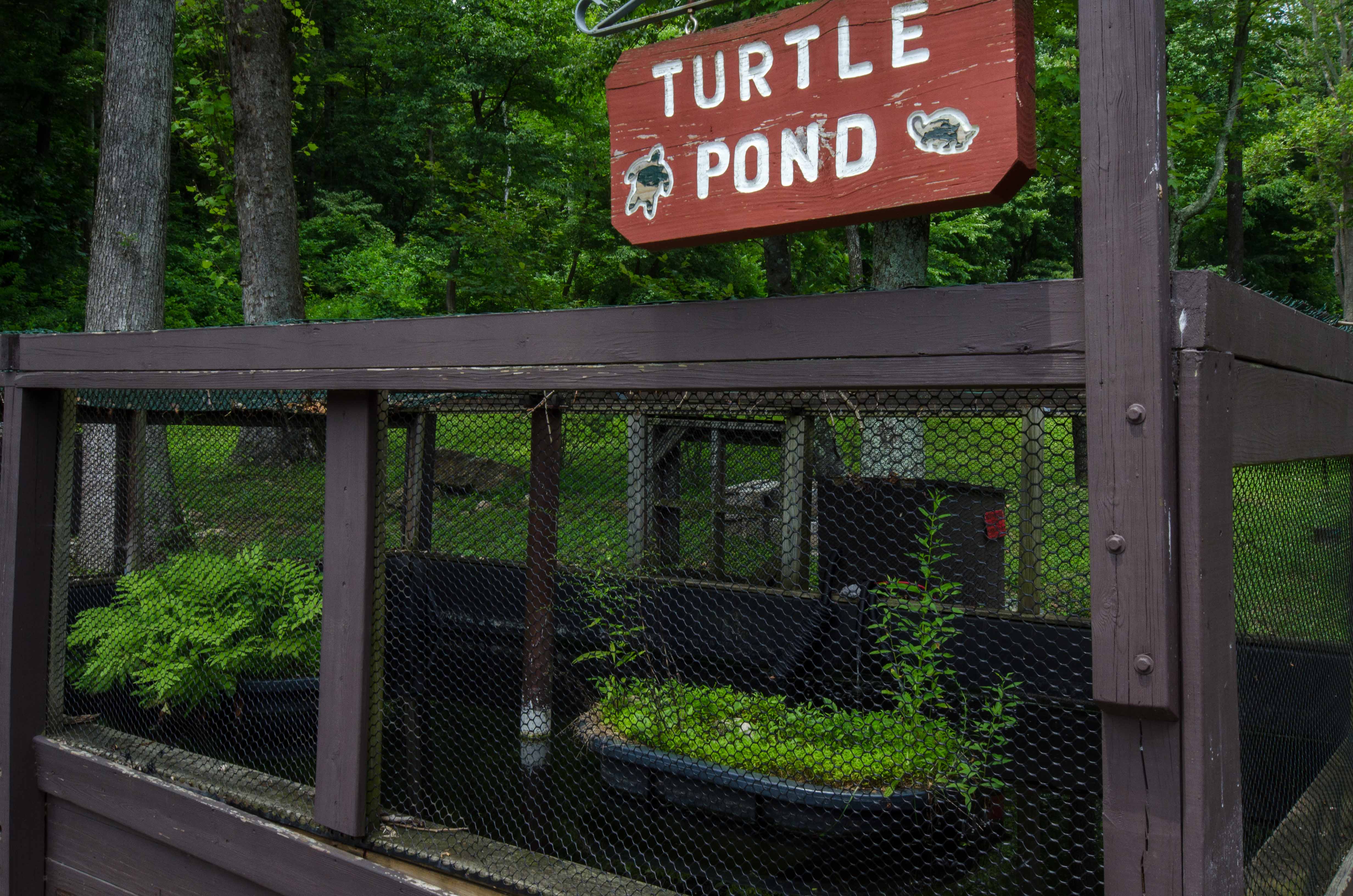 Turtle Pond next to Visitor Center