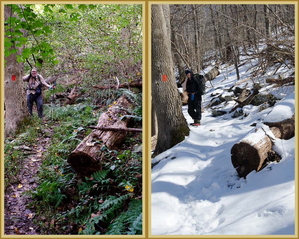 Yaakov on the Old Misery Tril in summer and in winter