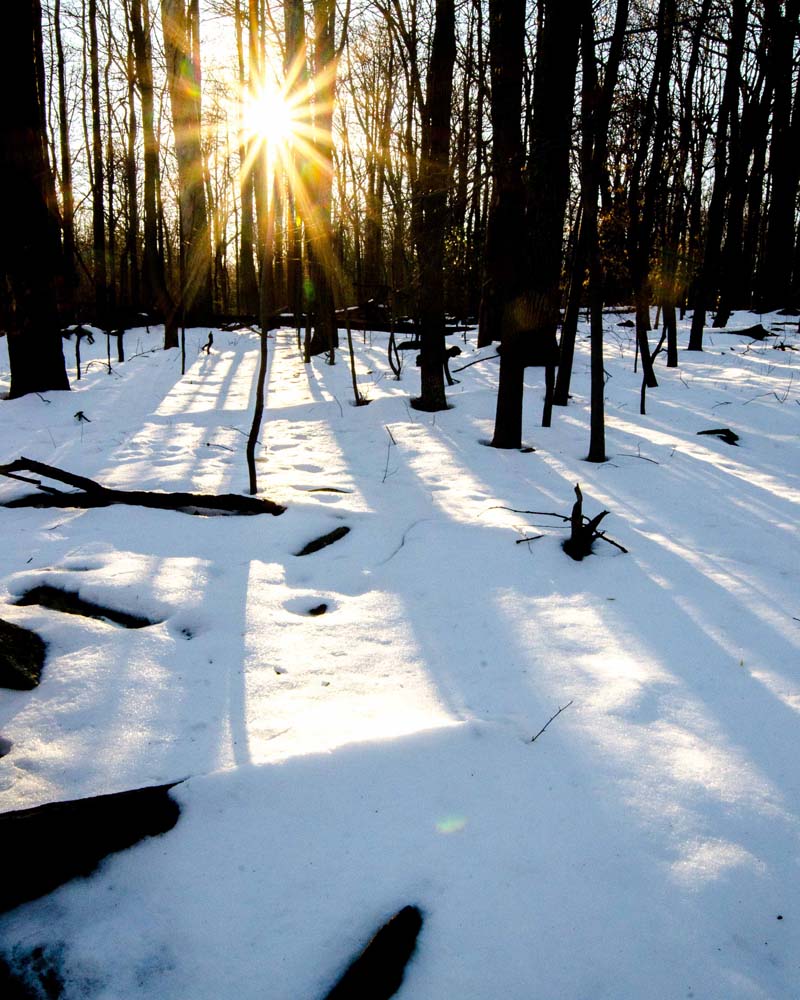 Sun setting over a flat section of Old Misery Trail