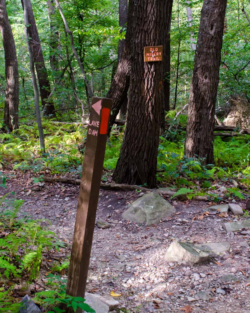 Sign of Old Misery Trail at the top of the trail