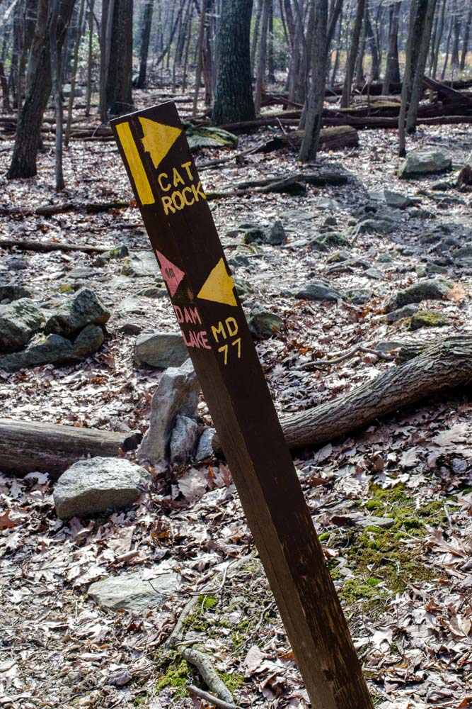 Sign at top of Old Misery Trail pointing toward Cat Rock