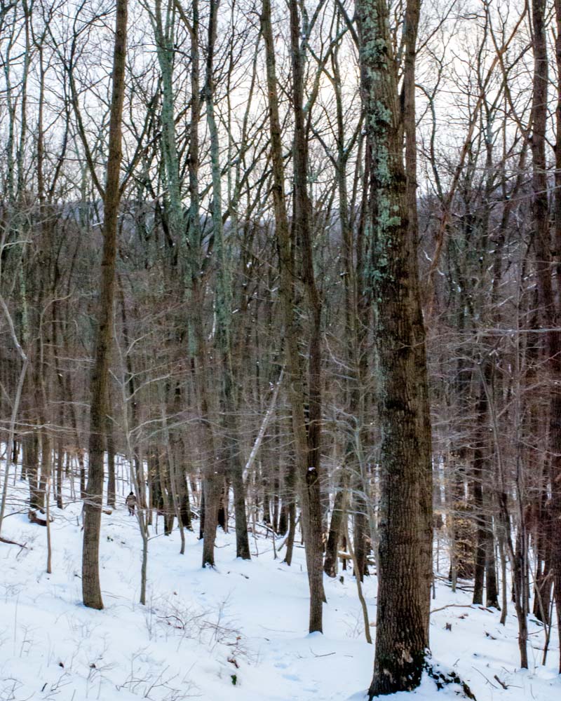 Orange-Yellow Trail in winter