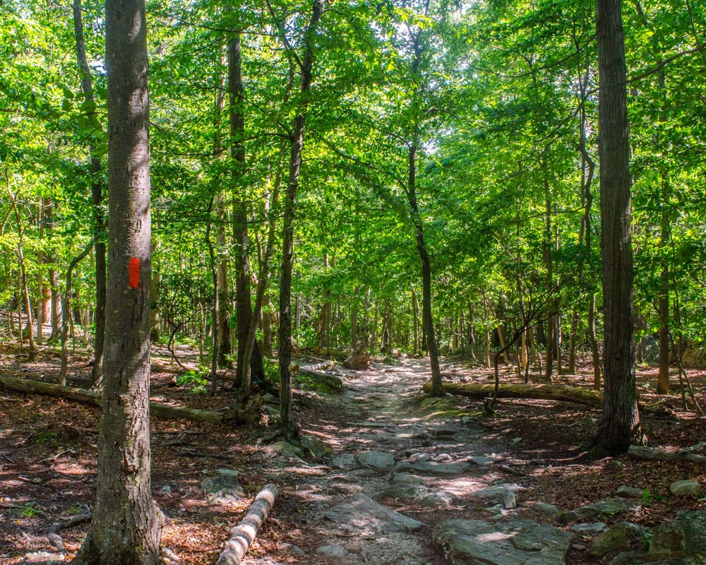View of trail from Chimney Rock to Wolf Rock