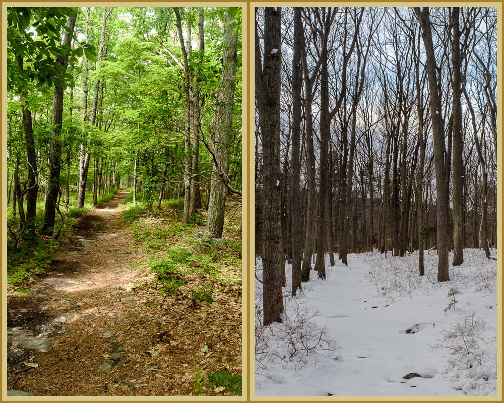 Pint Trail in summer and in winter