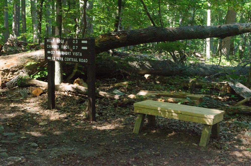 Sign and a park bench where Pink and Orange trails combine